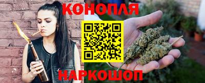 сатива Будённовск