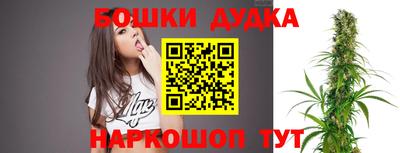 шишки Бузулук