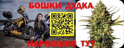 шишки Бузулук