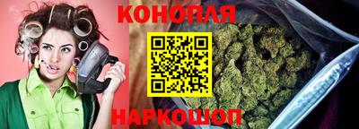 сатива Будённовск