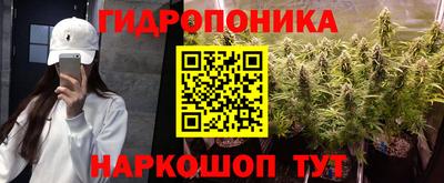 шишки Бузулук