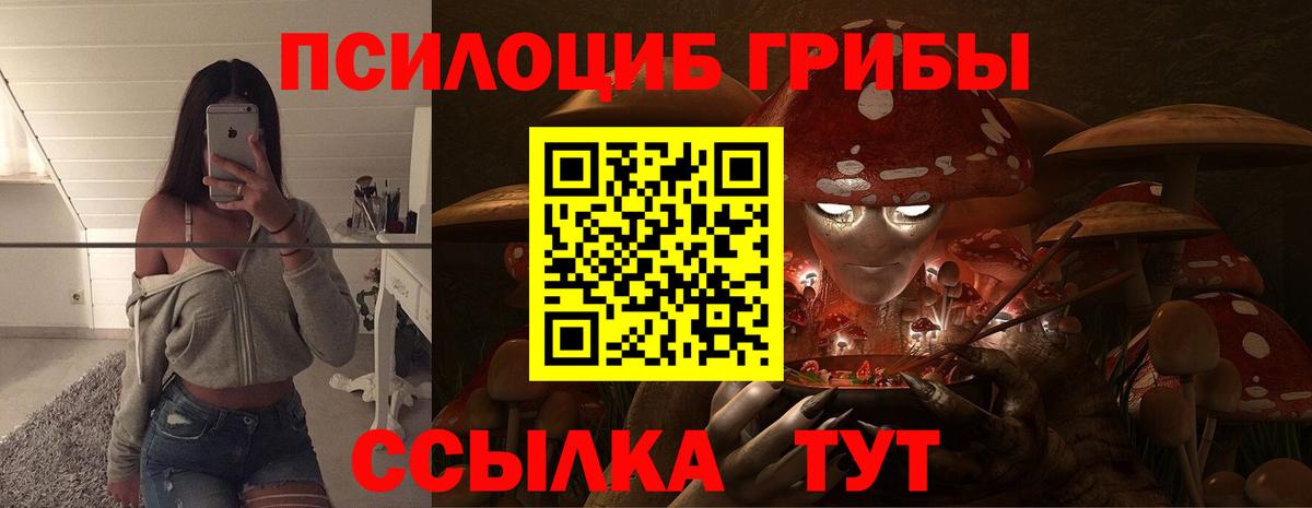 Луга  где купить наркоту  Вход с VPN  Галлюциногенные грибы Magic Shrooms  Галлюциногенные грибы Psilocybine cubensis 